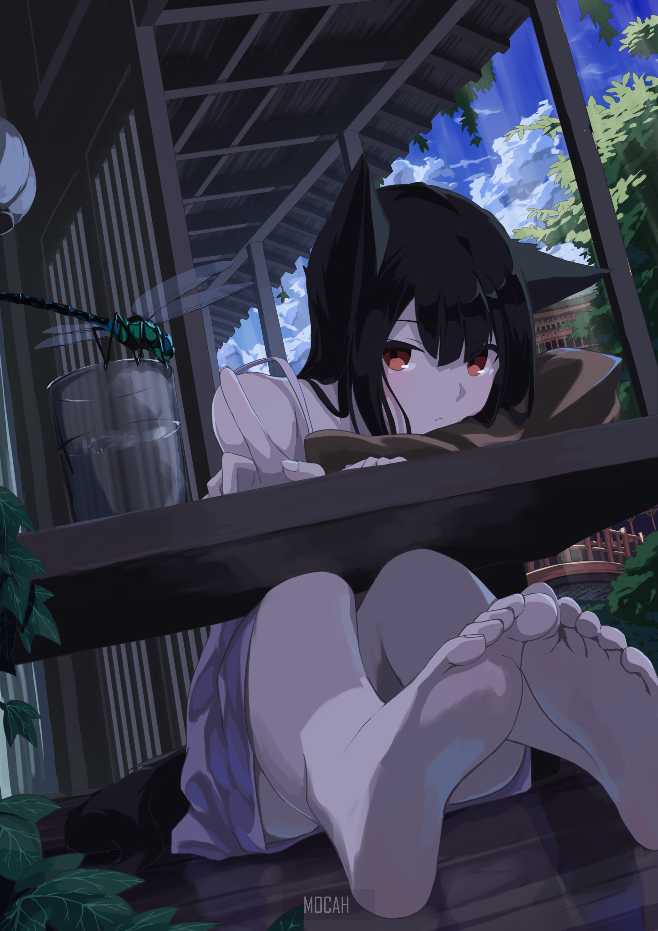 Anime cat girl with dragonfly on a porch HD Phone Wallpaper