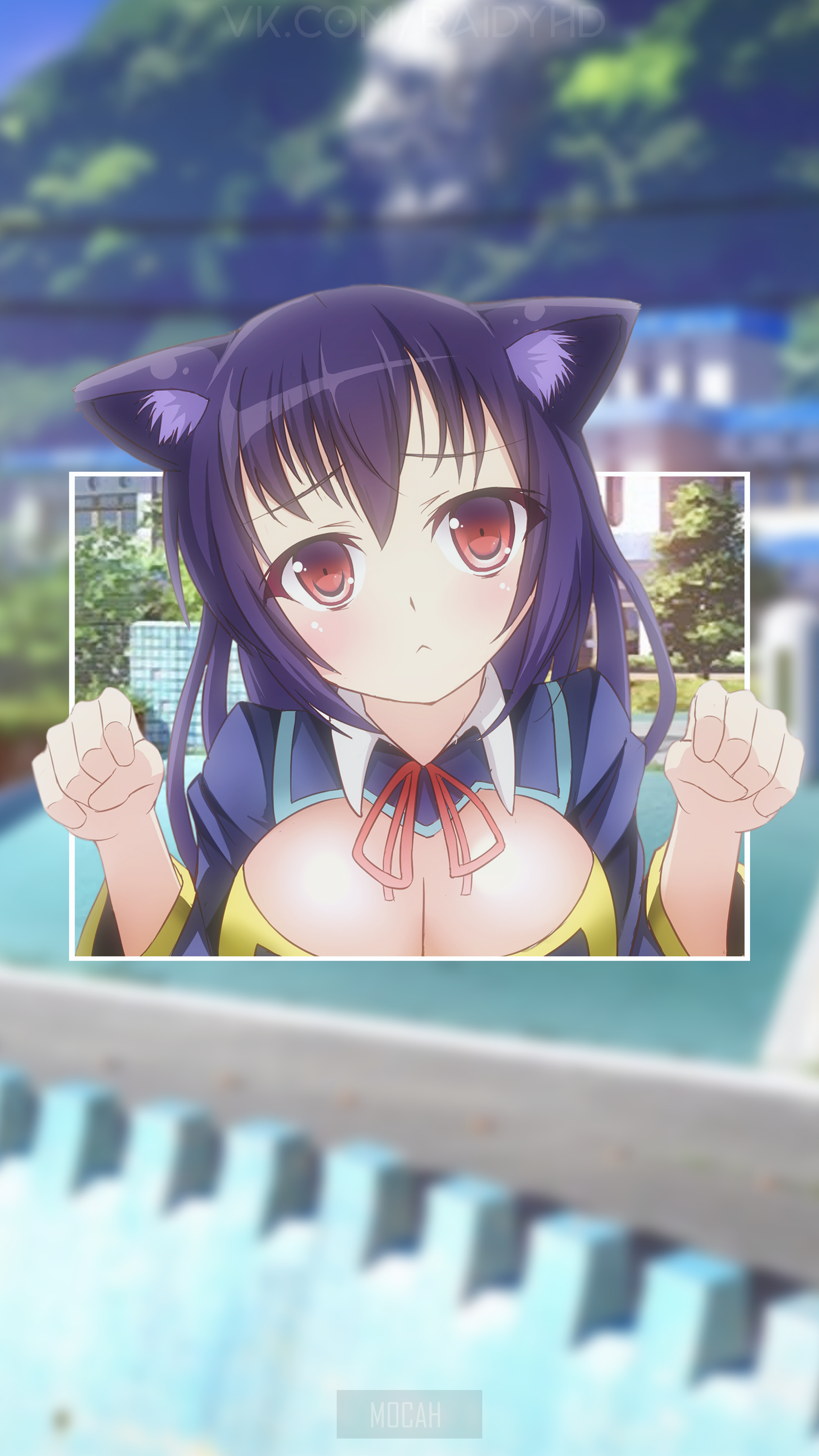Anime girl with cat ears HD Phone Wallpaper