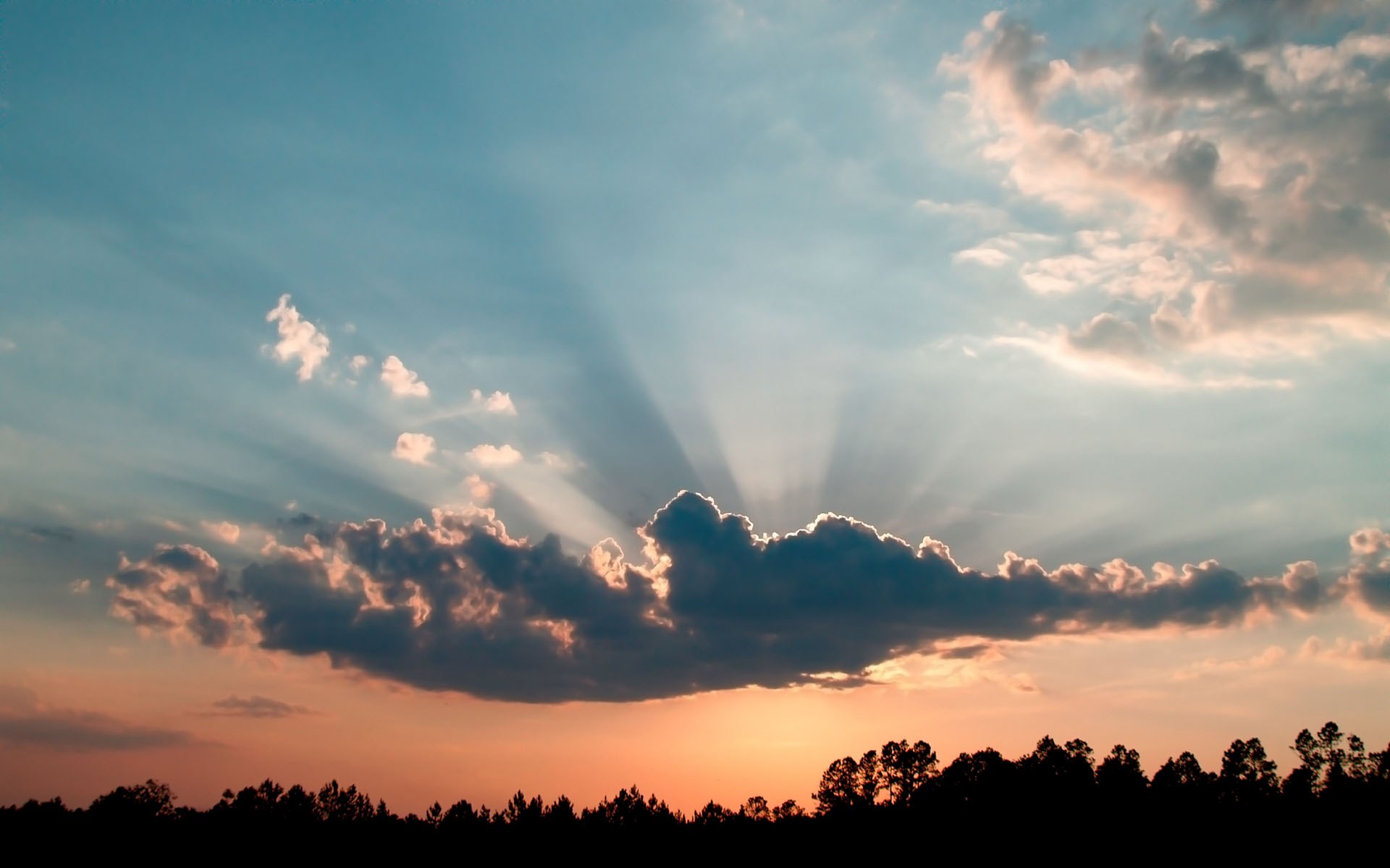 Sunbeams through clouds over silhouetted trees at sunset HD Wallpaper