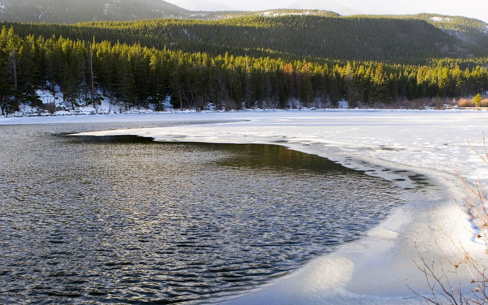 Frozen lake with pine forest and mountains HD Wallpaper
