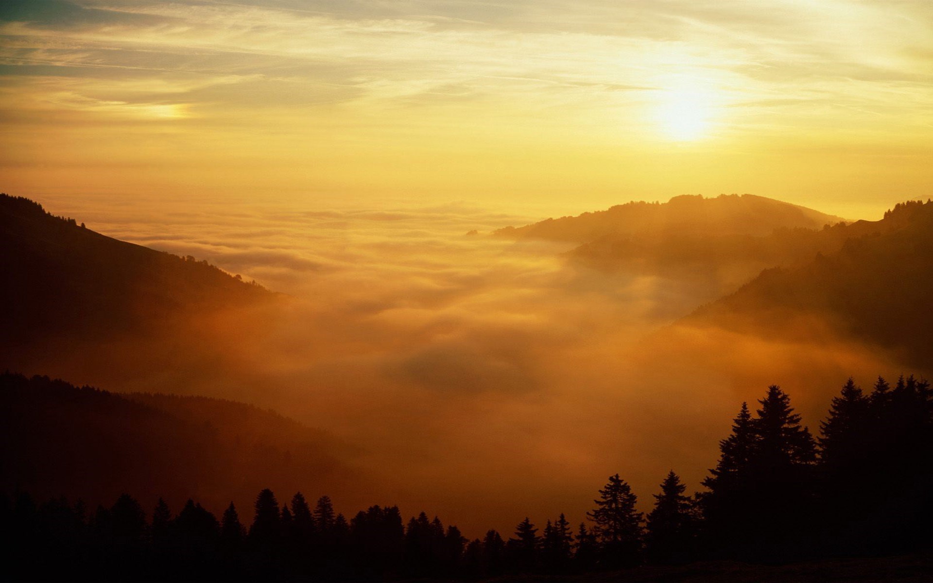 Sunrise over foggy mountains with silhouetted trees HD Wallpaper