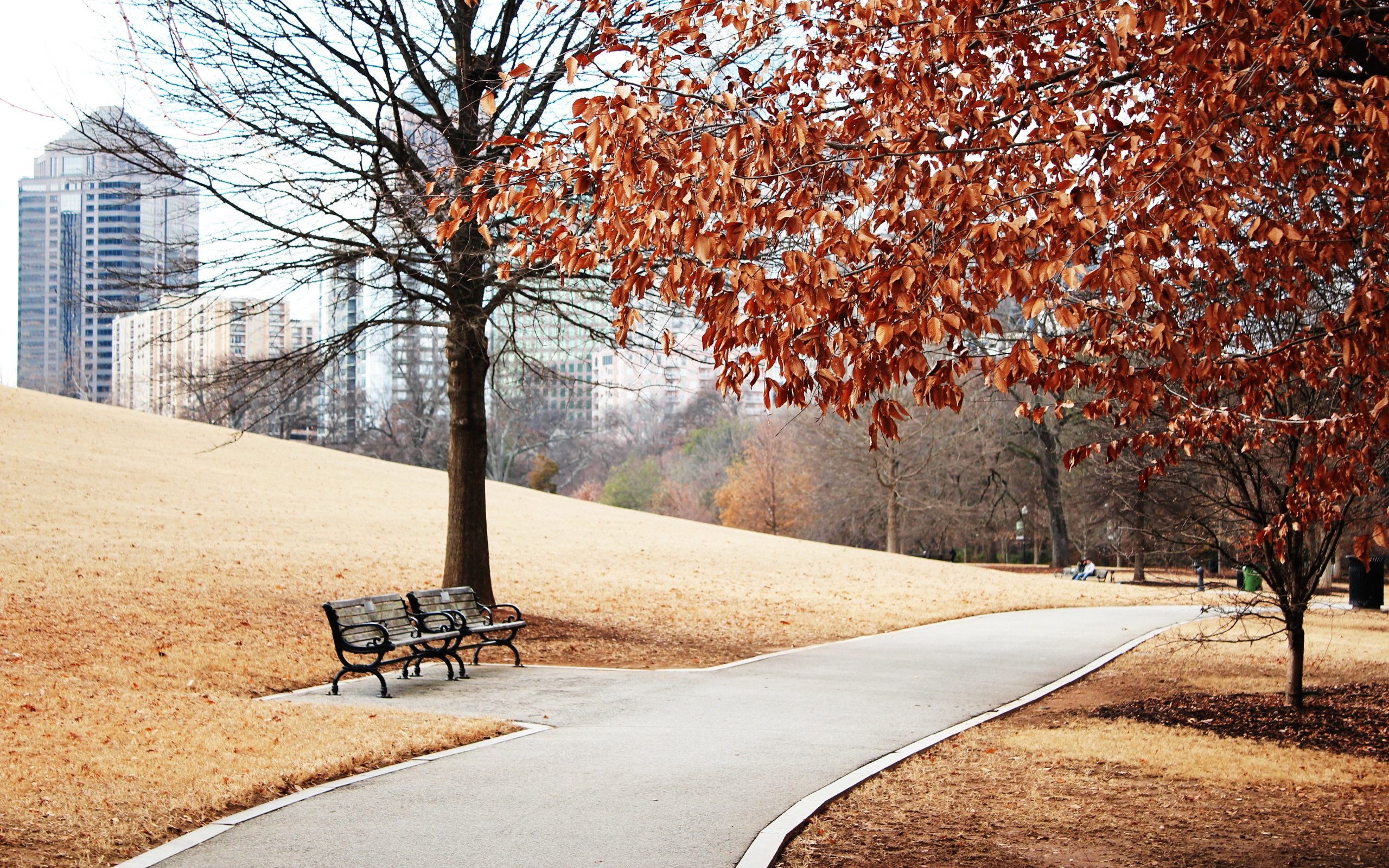 Autumn park with city buildings and benches HD Wallpaper