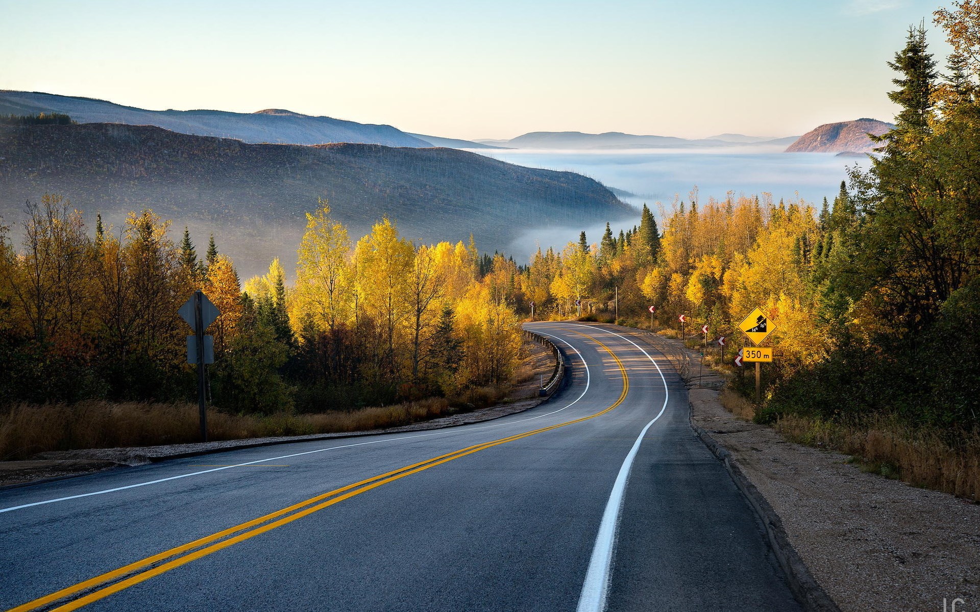 Winding road through autumn forest with misty mountains HD Wallpaper