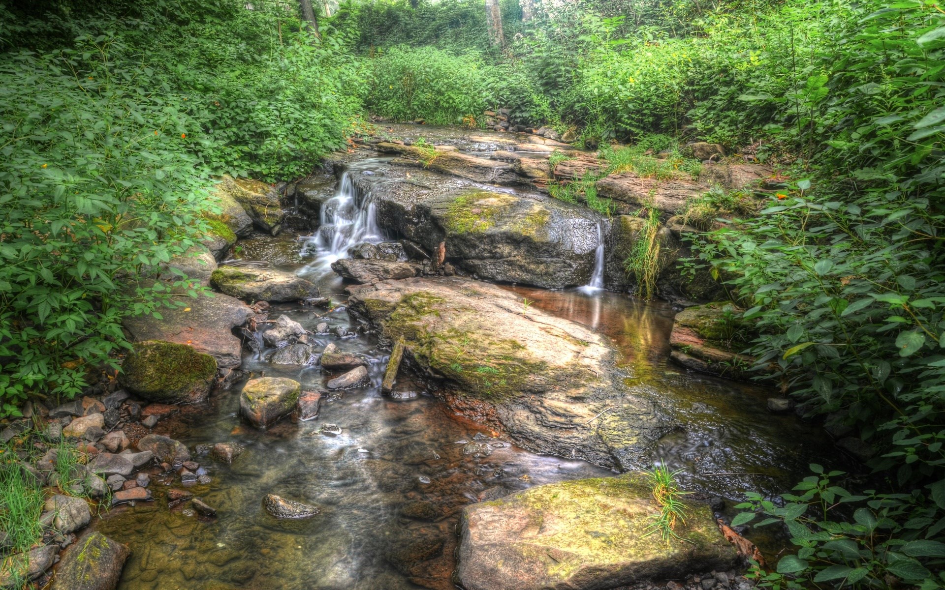 A small waterfall flows over rocks in a forest HD Wallpaper