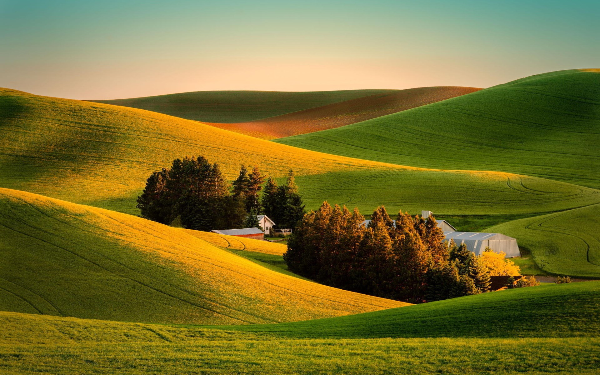 Rolling hills of green and yellow fields with farm buildings HD Wallpaper