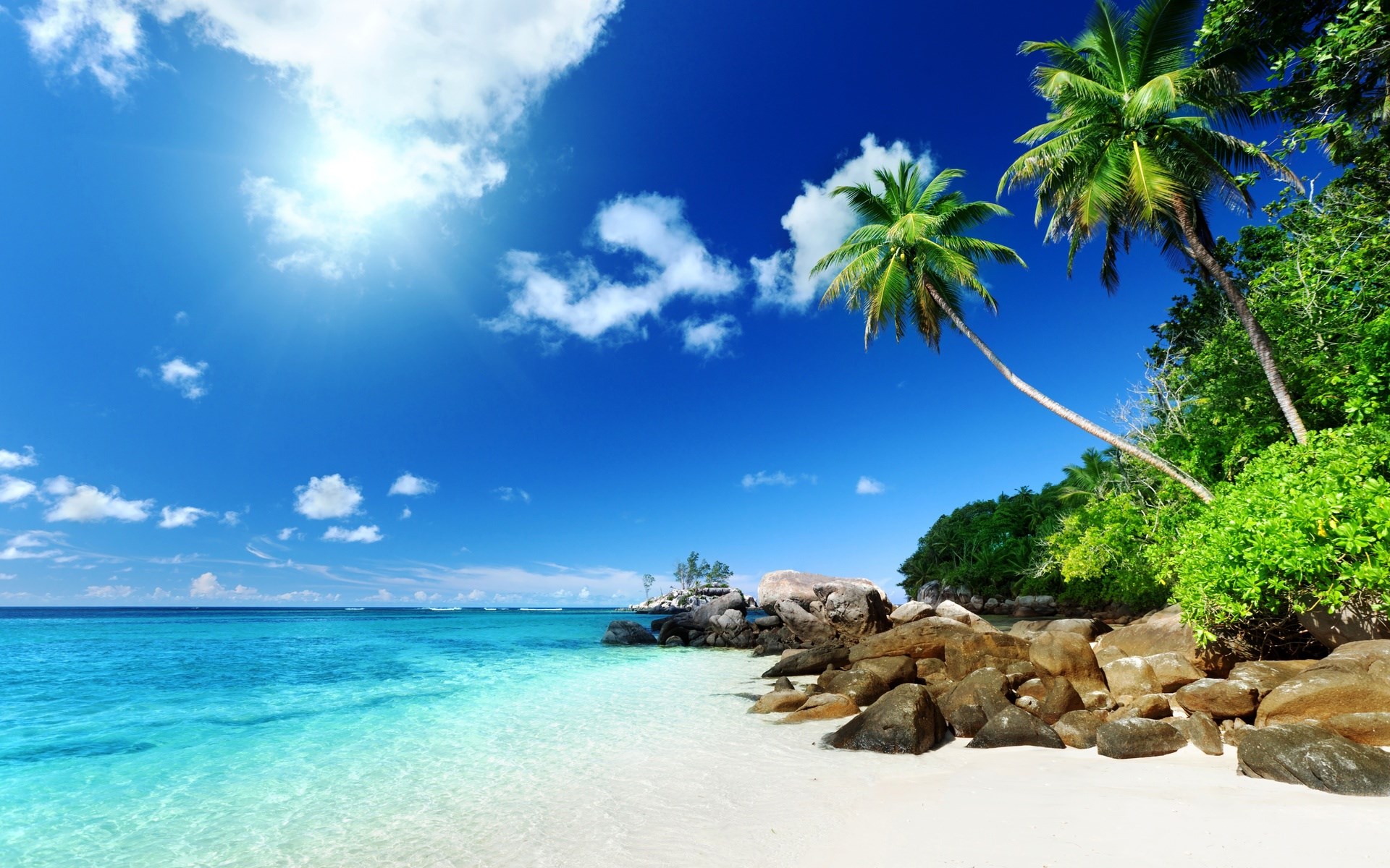Tropical beach with palm trees and turquoise water HD Wallpaper