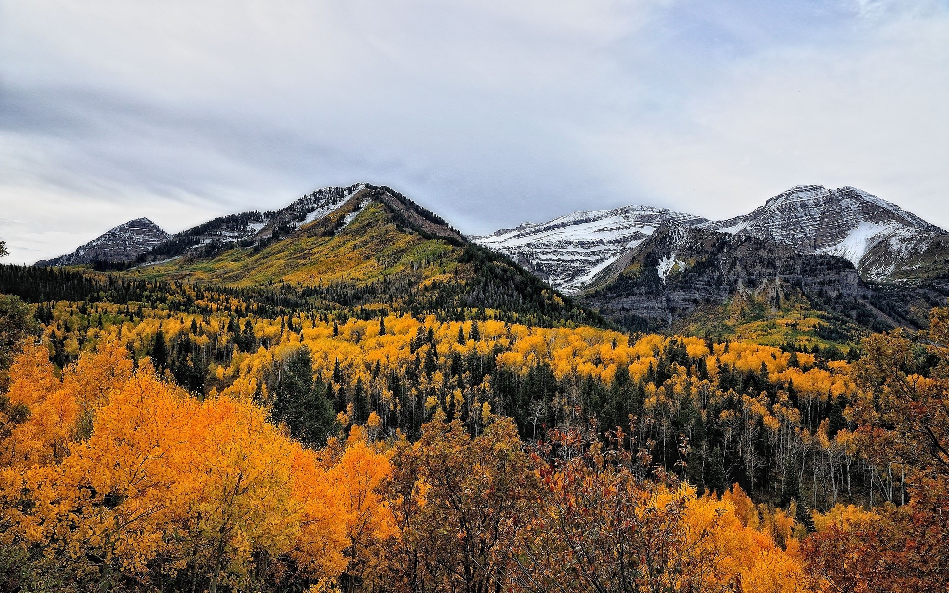 Autumn mountain landscape with snow-capped peaks HD Wallpaper