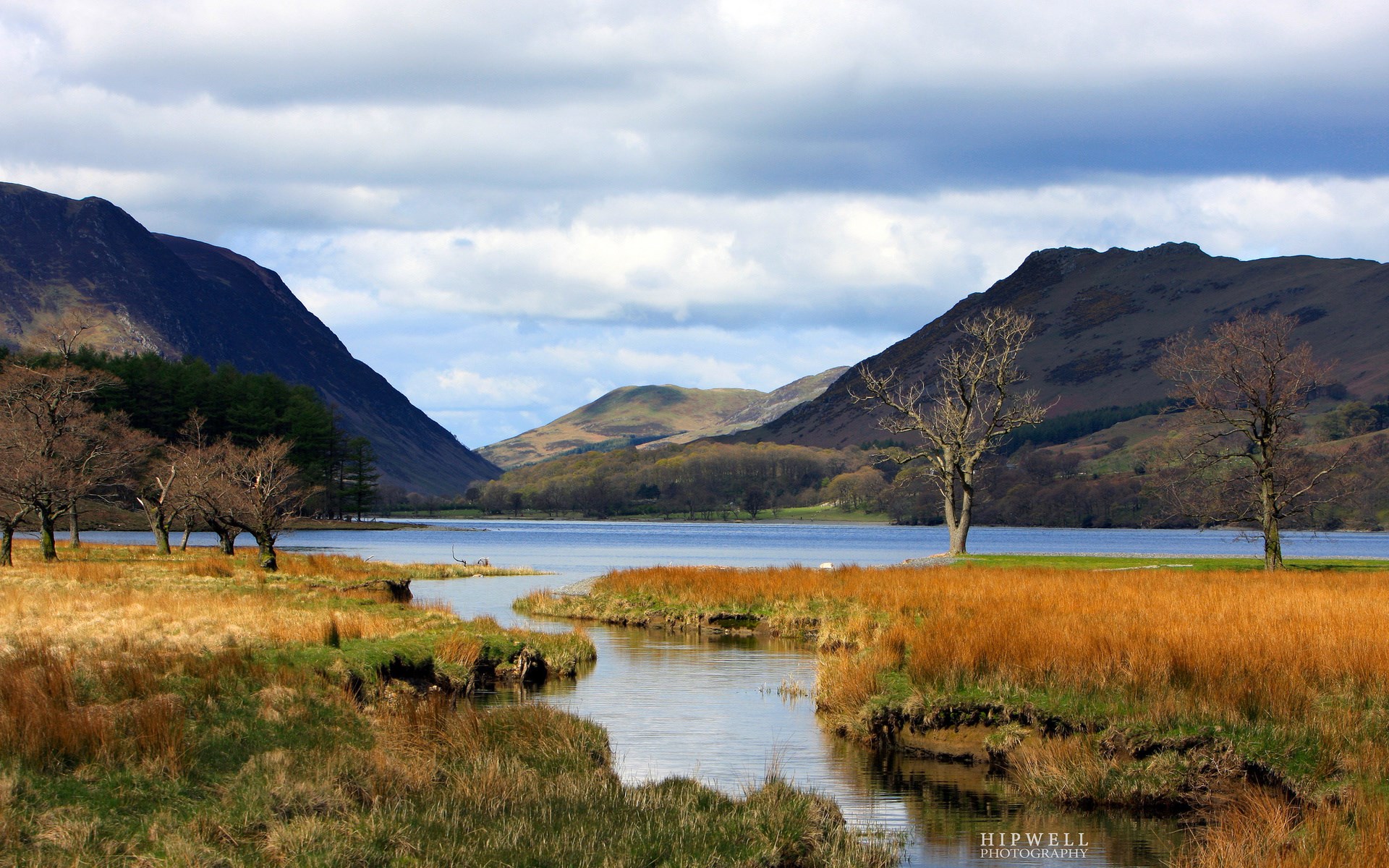 Lake and mountains with autumn grass and bare trees HD Wallpaper