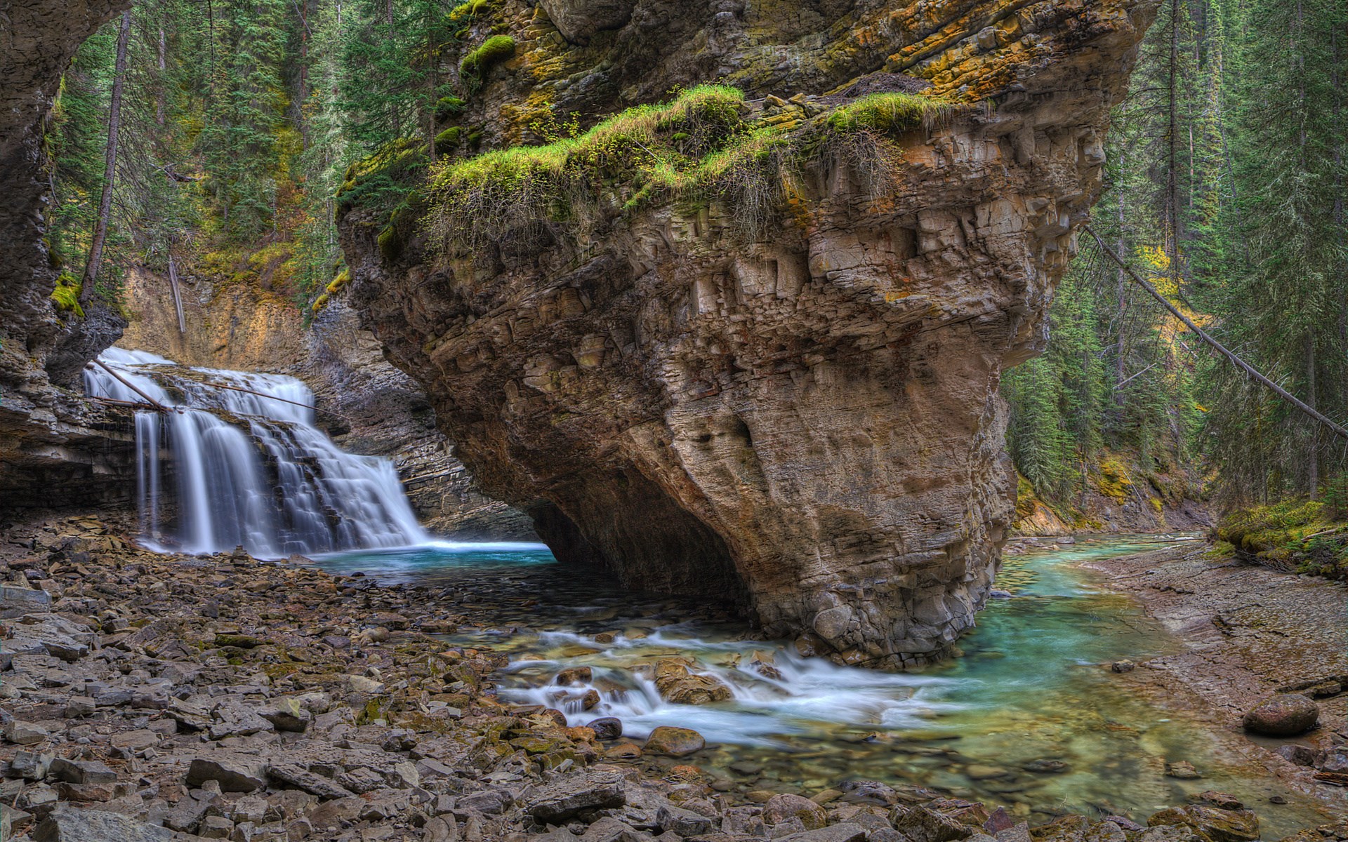 Waterfall flowing through a rocky canyon with pine trees HD Wallpaper