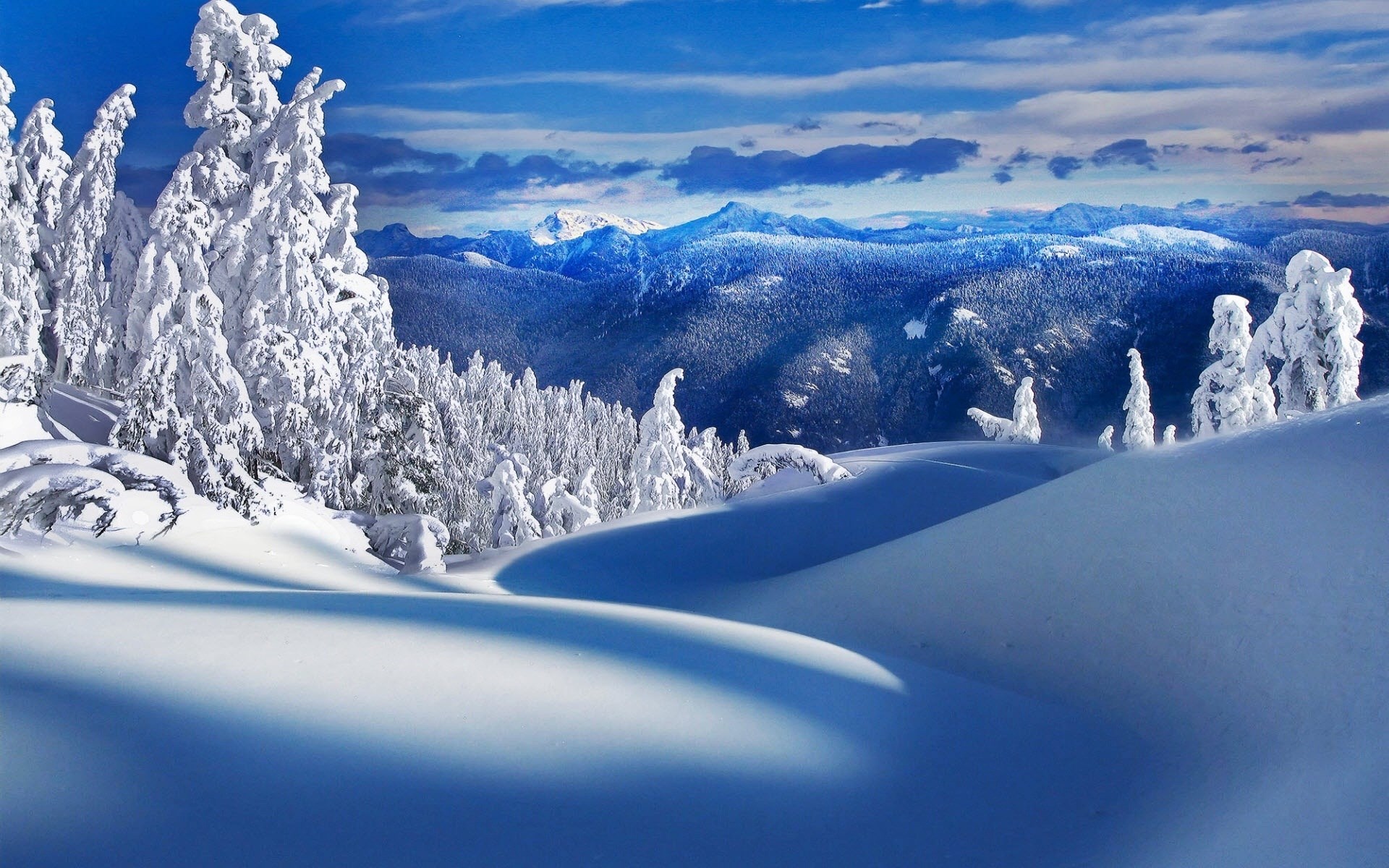 Snow-covered trees and mountains under a blue sky HD Wallpaper