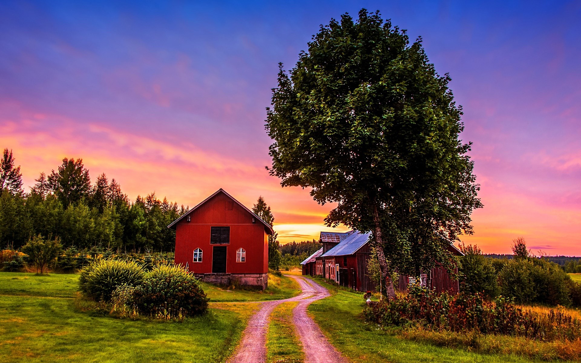 Red barn and tree at sunset HD Wallpaper