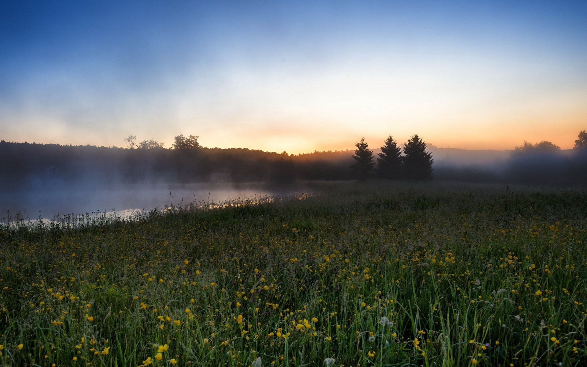 Misty lake at sunrise with wildflowers HD Wallpaper