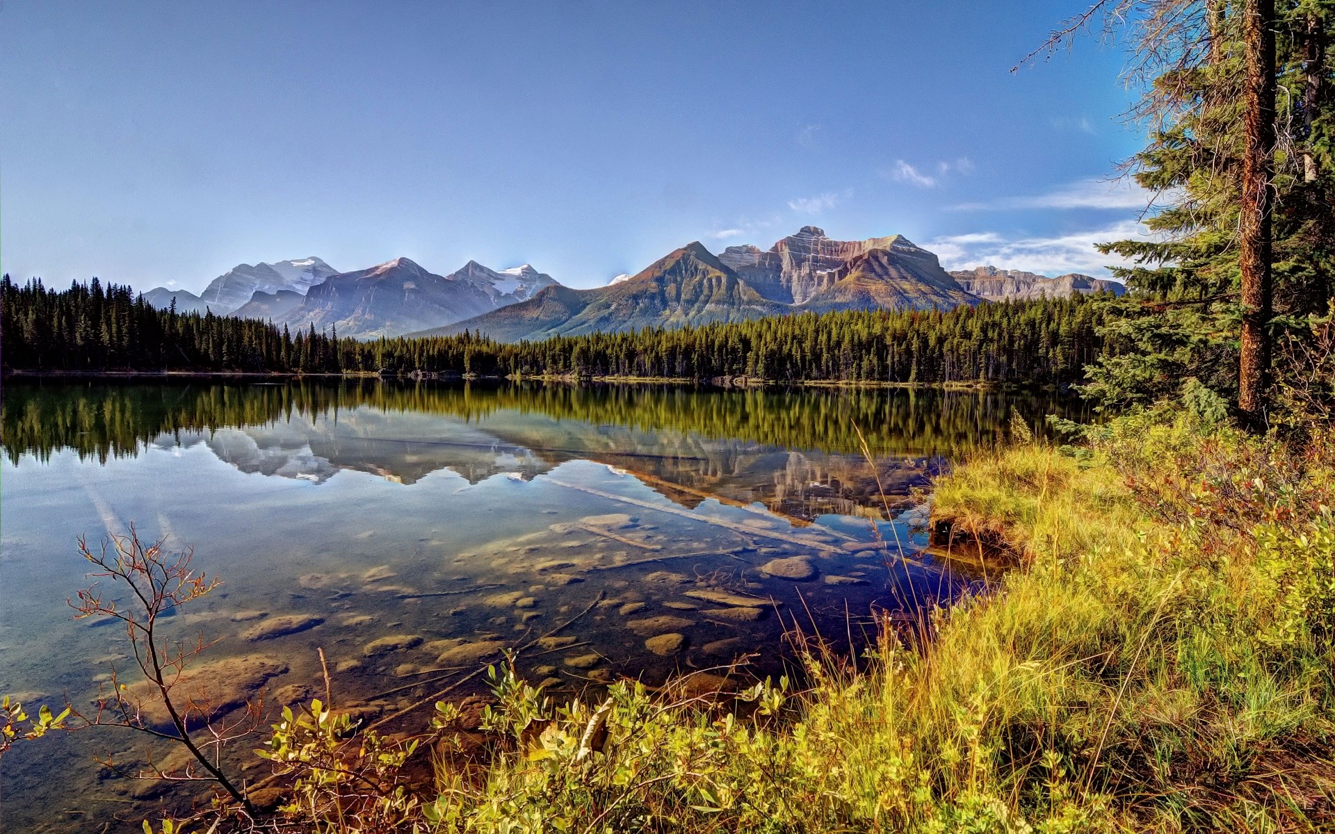 Lake reflection of mountains and forest HD Wallpaper