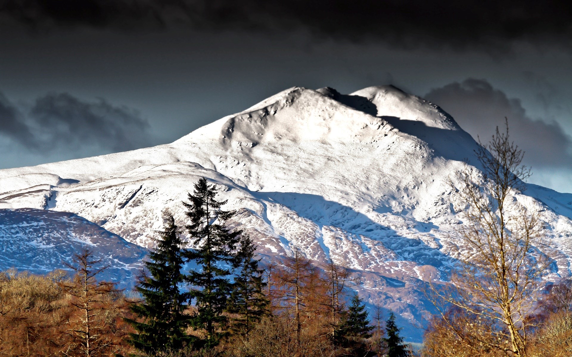 Snow-covered mountain with trees in the foreground HD Wallpaper