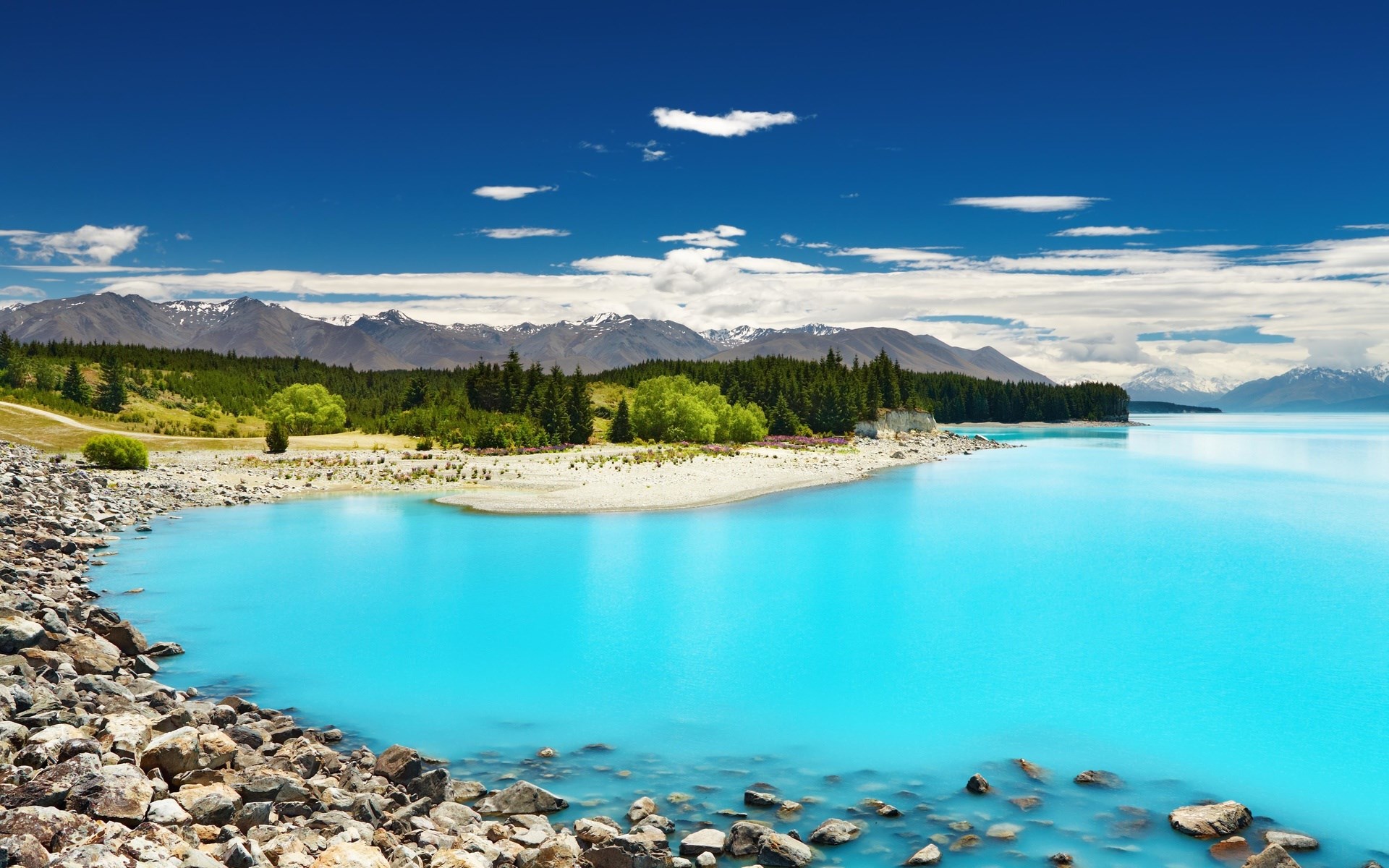 Turquoise lake with mountains and trees HD Wallpaper