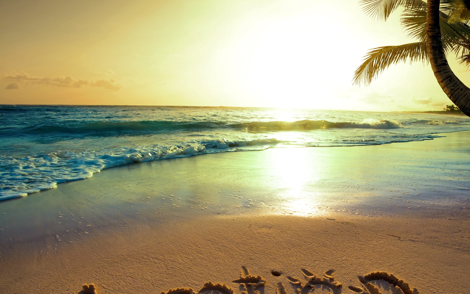 Beach at sunset with palm tree and waves HD Wallpaper