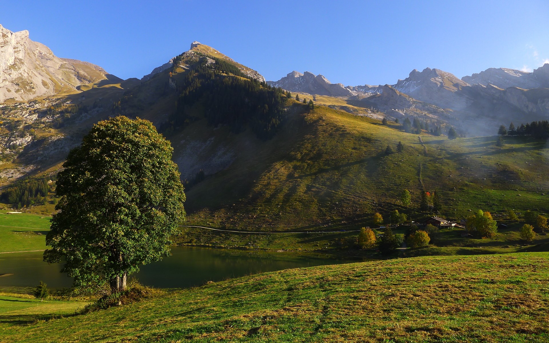 Mountain landscape with lake and tree HD Wallpaper