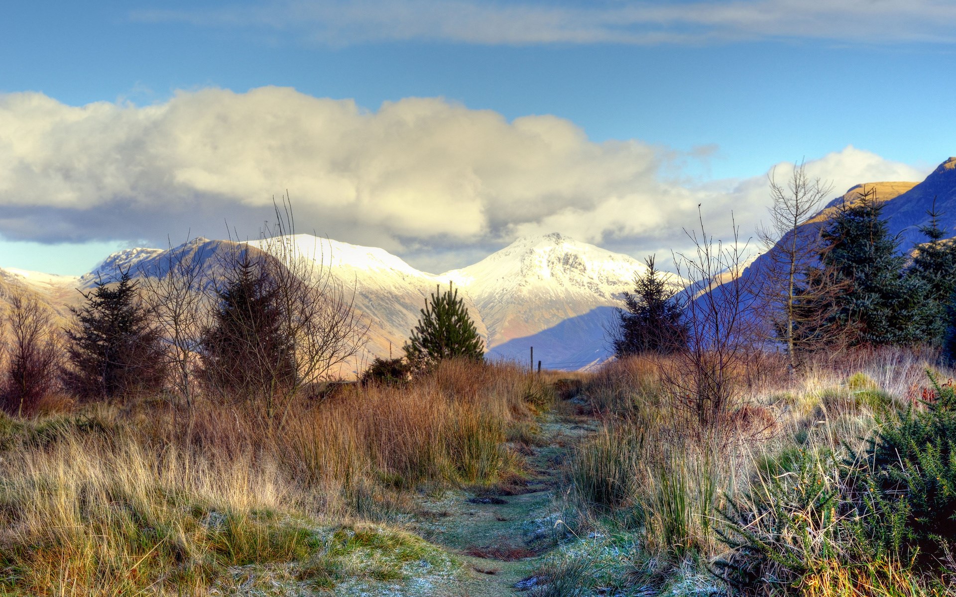 Snow-capped mountains and a path through tall grass HD Wallpaper