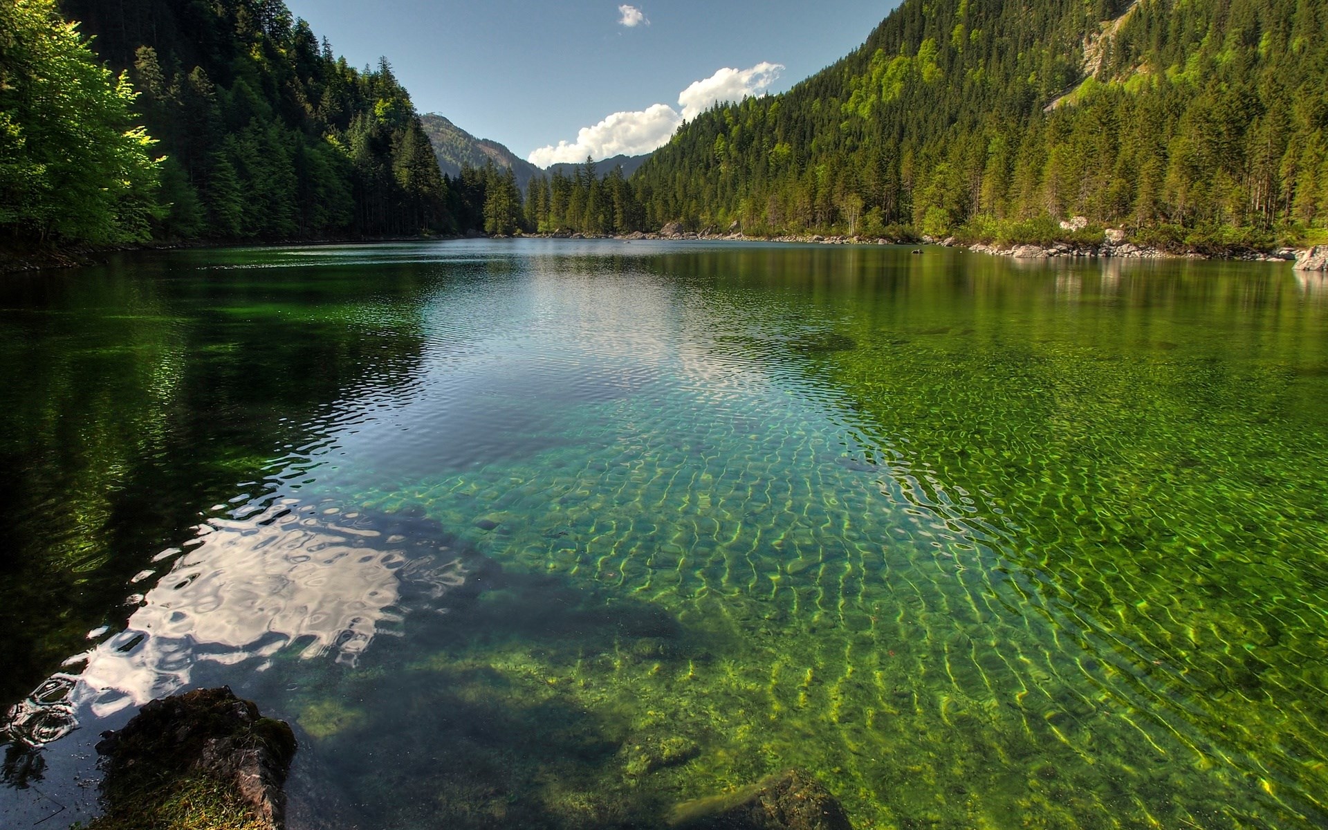 Crystal clear lake surrounded by green forest and mountains HD Wallpaper
