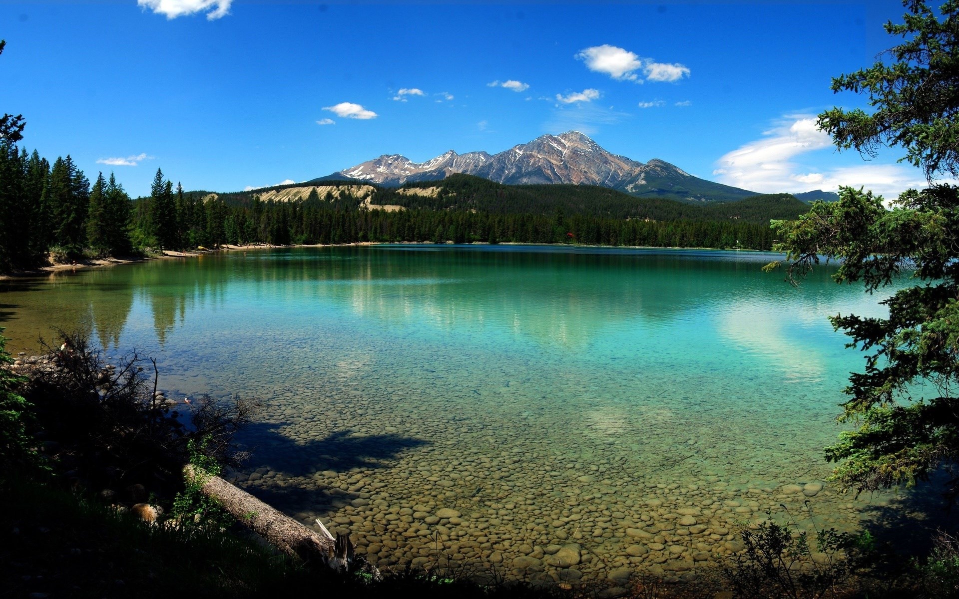 Turquoise lake with mountains and pine forest HD Wallpaper