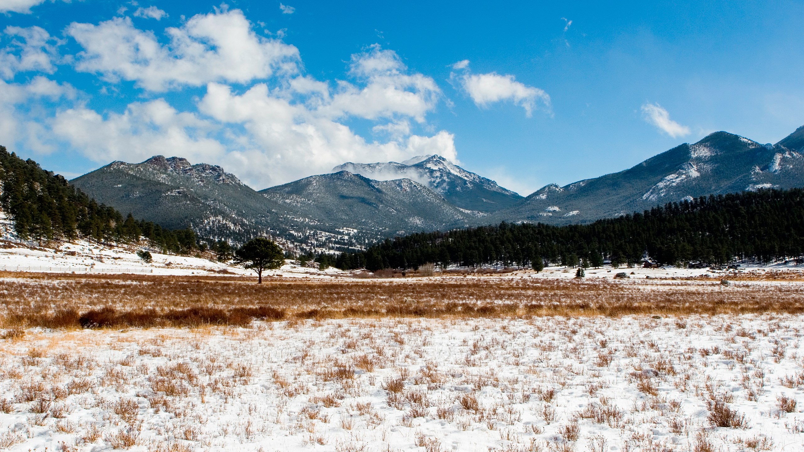 Snowy Meadow with Mountains and Pine Forest HD Wallpaper