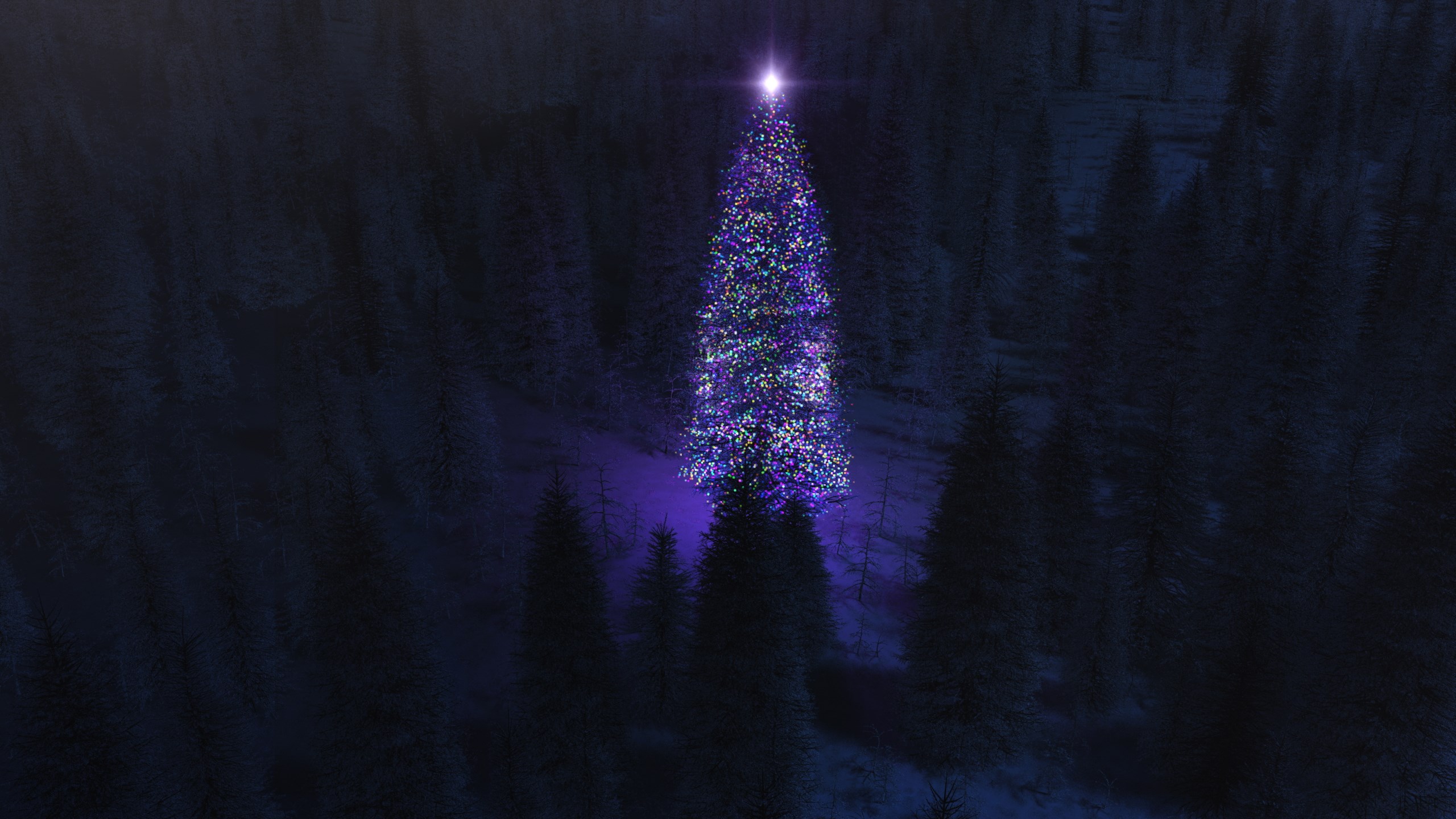 Illuminated Christmas Tree in a Dark Forest HD Wallpaper