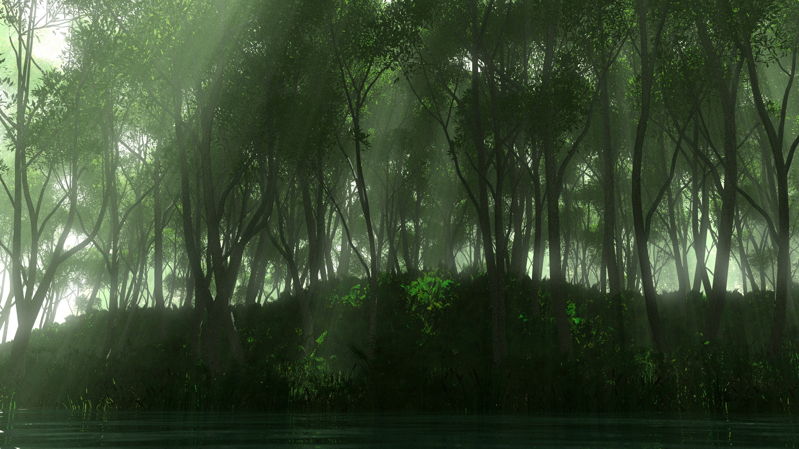 Misty forest with sunbeams over a dark body of water HD Wallpaper