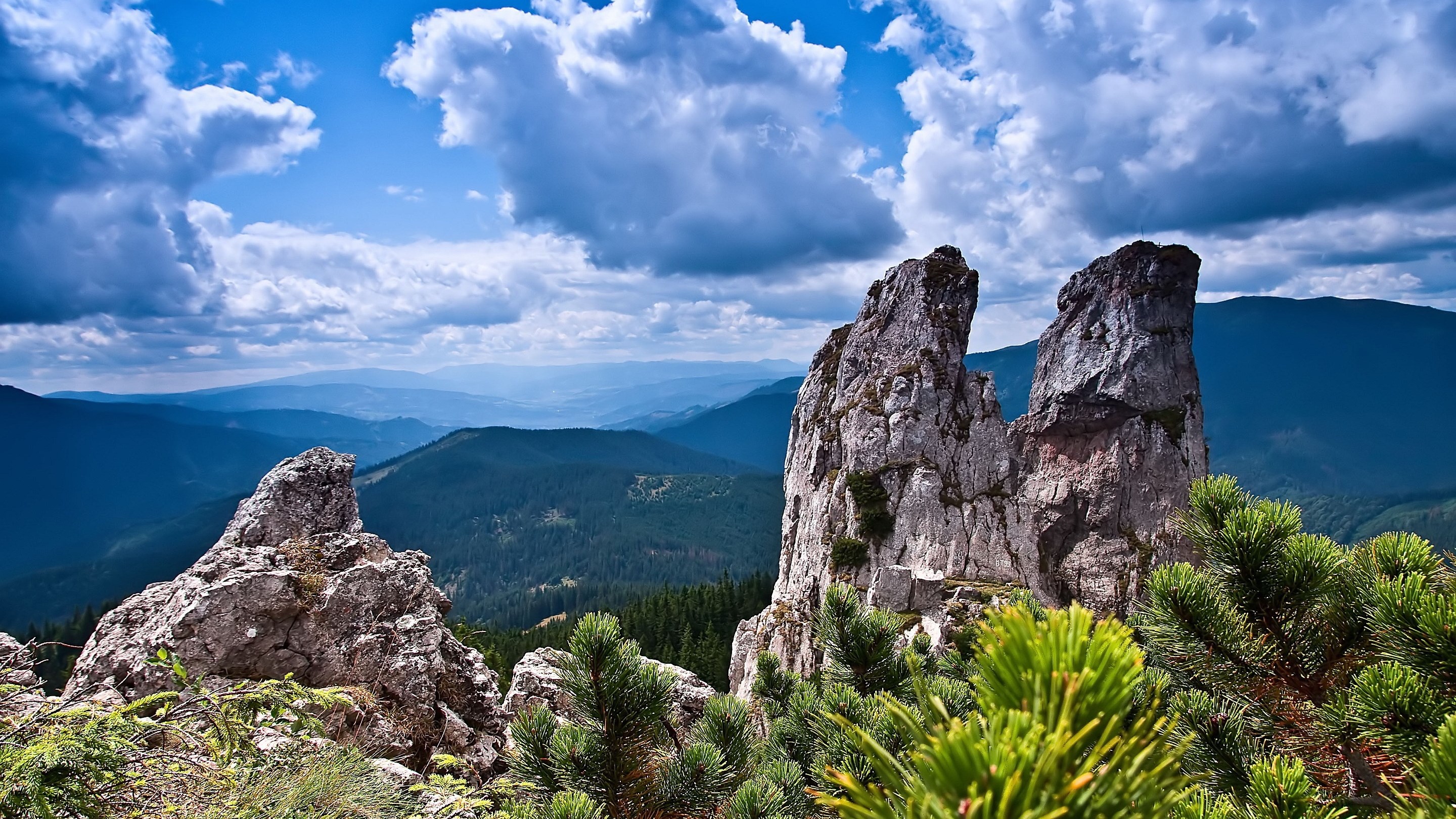 Rocky mountain peaks with pine trees and cloudy sky HD Wallpaper