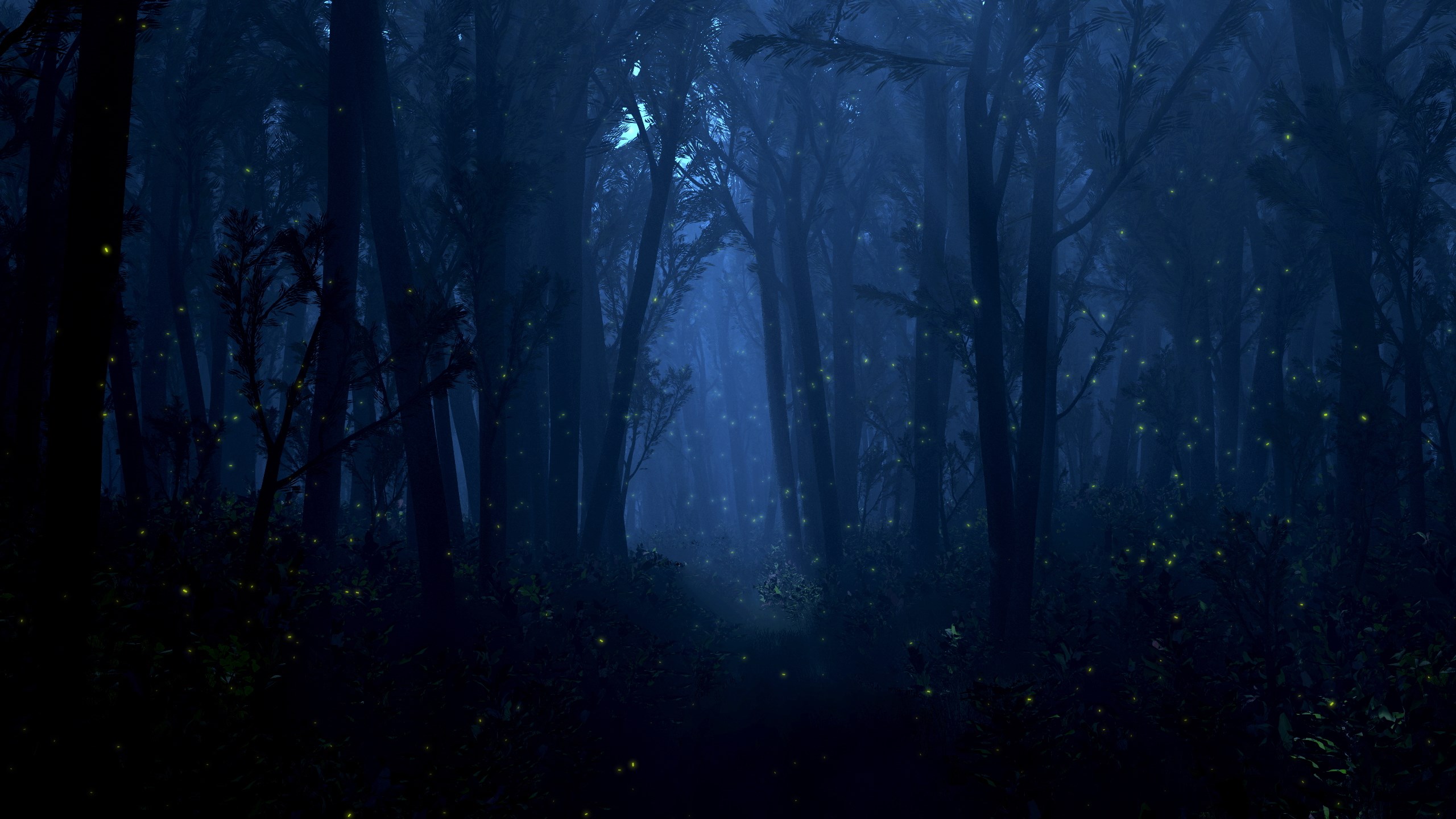 Dark forest with glowing fireflies at night HD Wallpaper