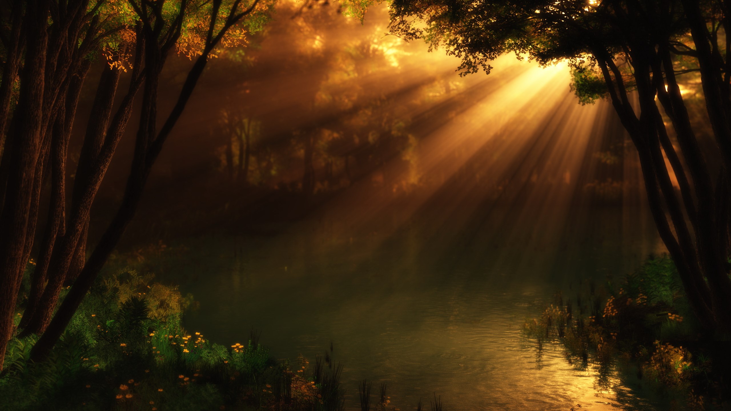 Sunbeams through trees over a forest lake HD Wallpaper