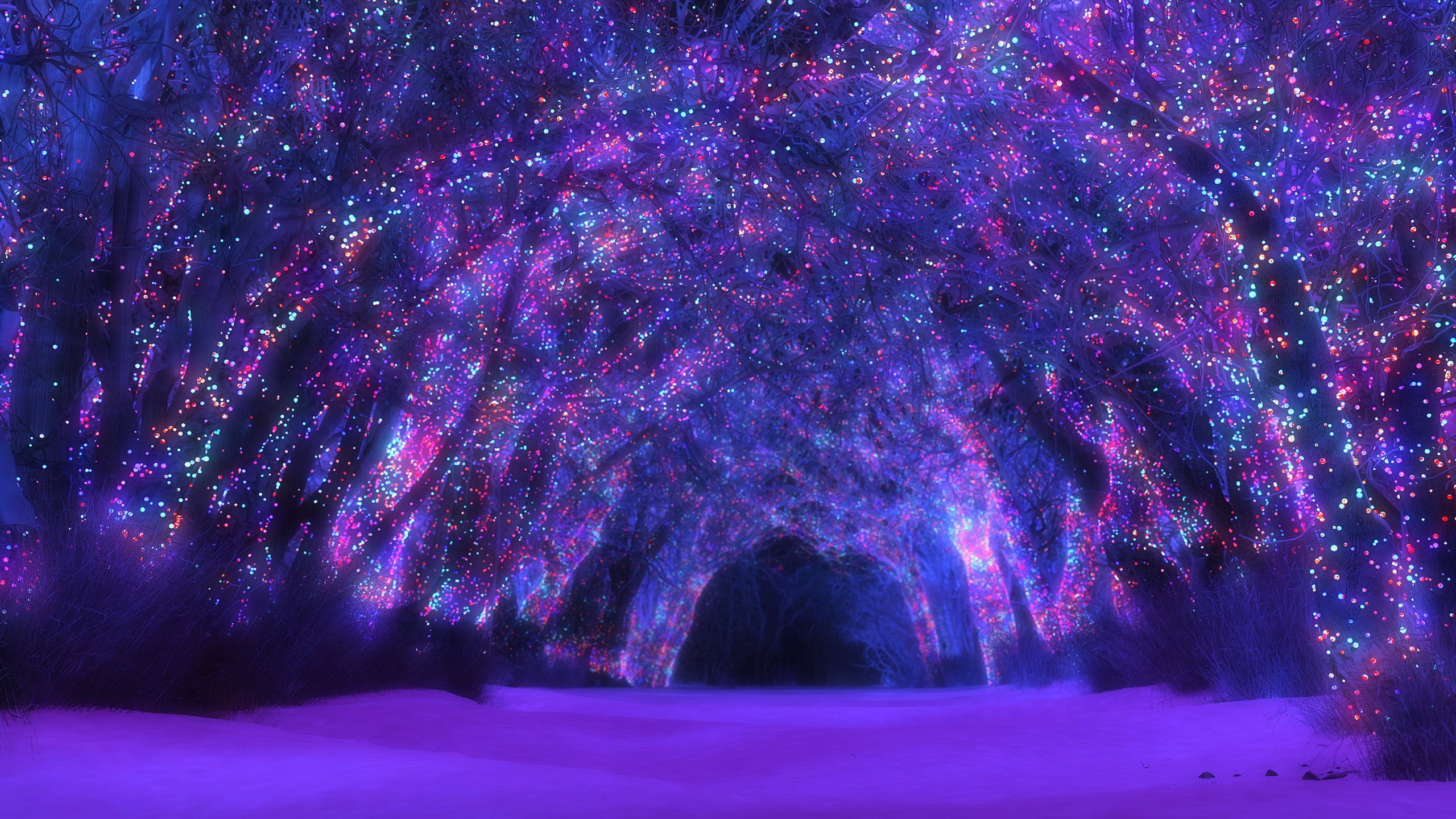 Tunnel of trees covered in colorful lights HD Wallpaper