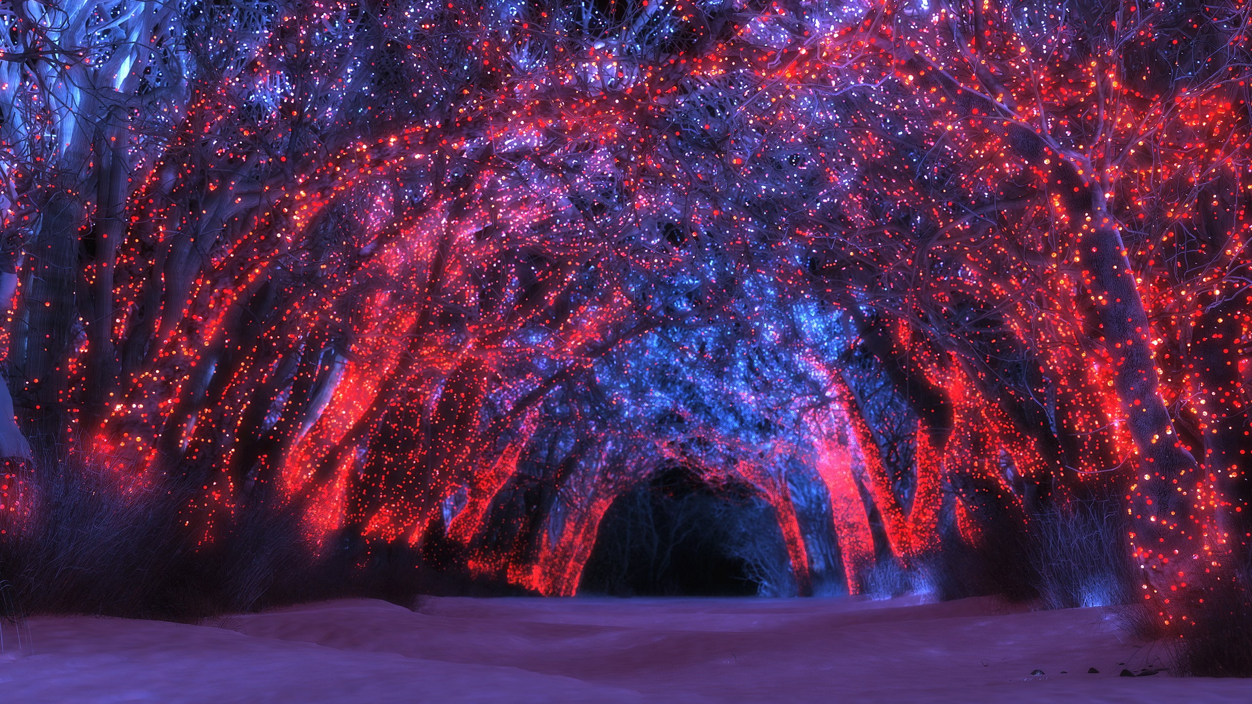 Tunnel of trees covered in red and blue lights HD Wallpaper