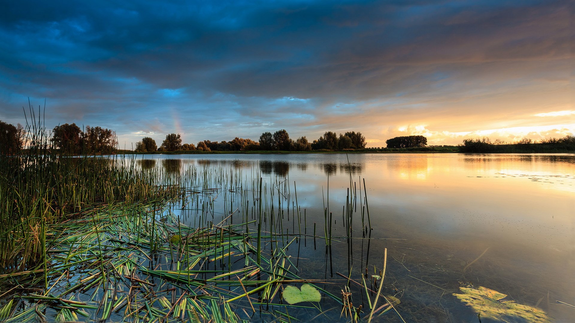 Sunset over a calm lake with reeds HD Wallpaper