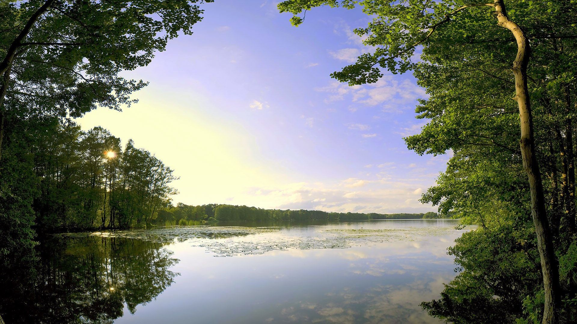 Lake surrounded by trees at sunset HD Wallpaper