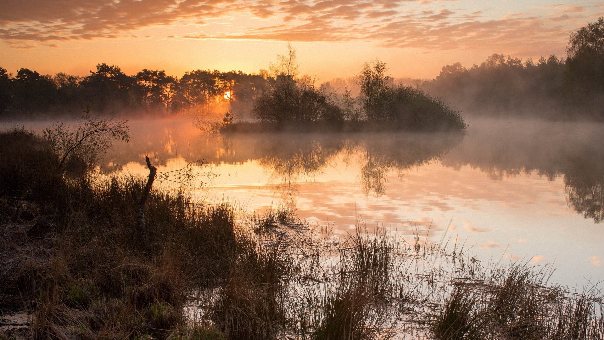 Misty lake at sunrise with silhouetted trees HD Wallpaper