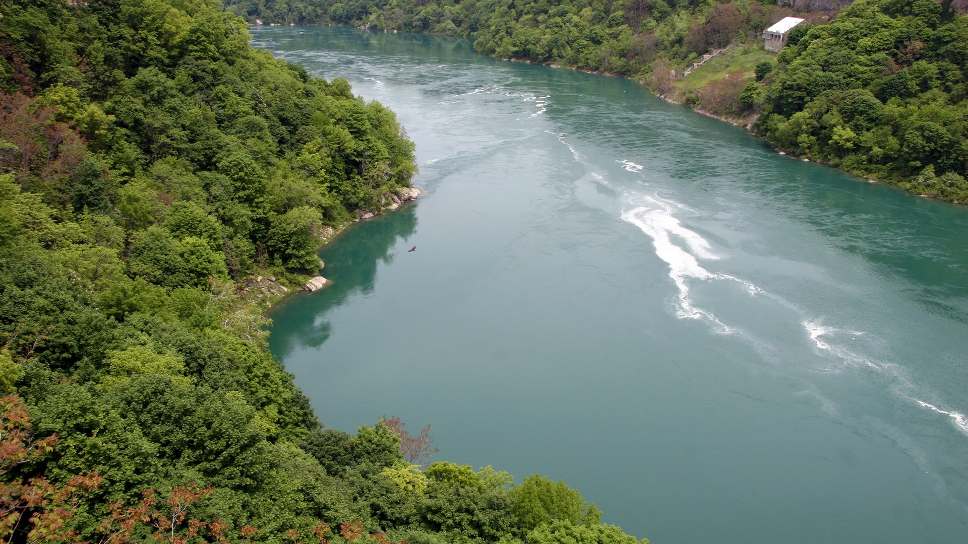 River flowing through a forested gorge with white water HD Wallpaper