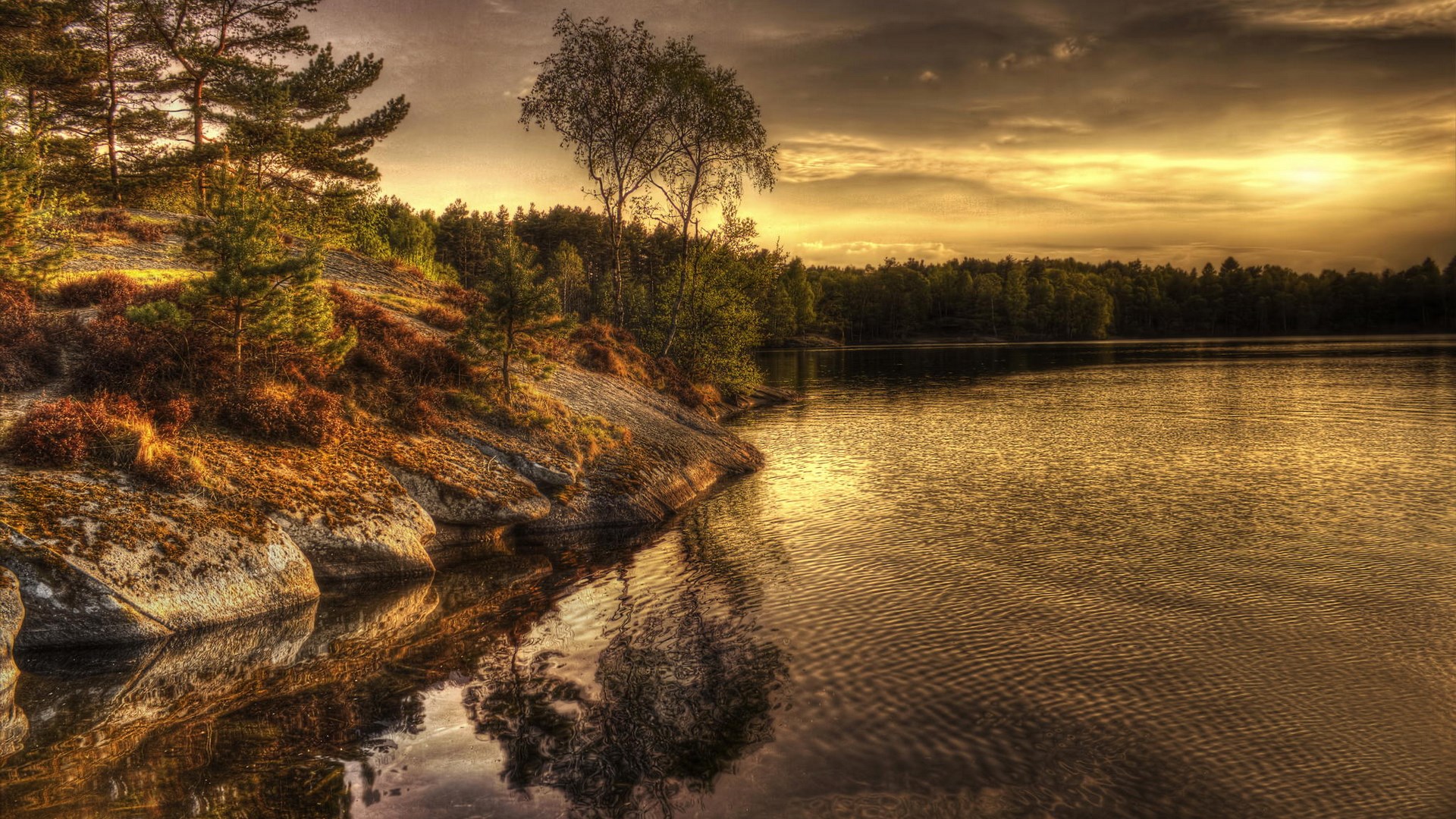 Lake and forest at sunset with reflections HD Wallpaper