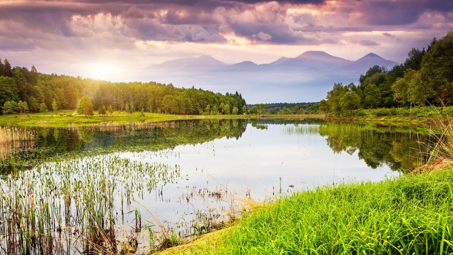 Lake and forest with mountains in the distance HD Wallpaper