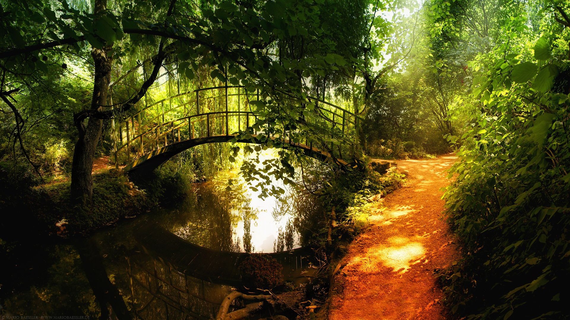 A curved bridge over a stream in a sunlit forest HD Wallpaper