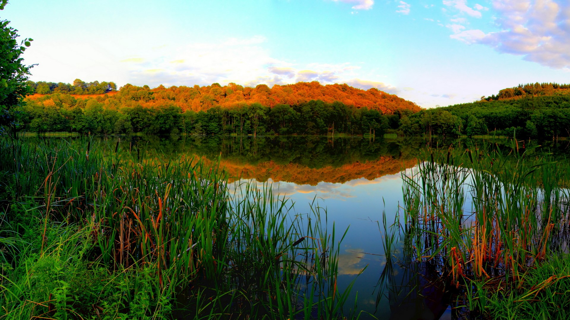 Lake reflection of trees and sky at sunset HD Wallpaper