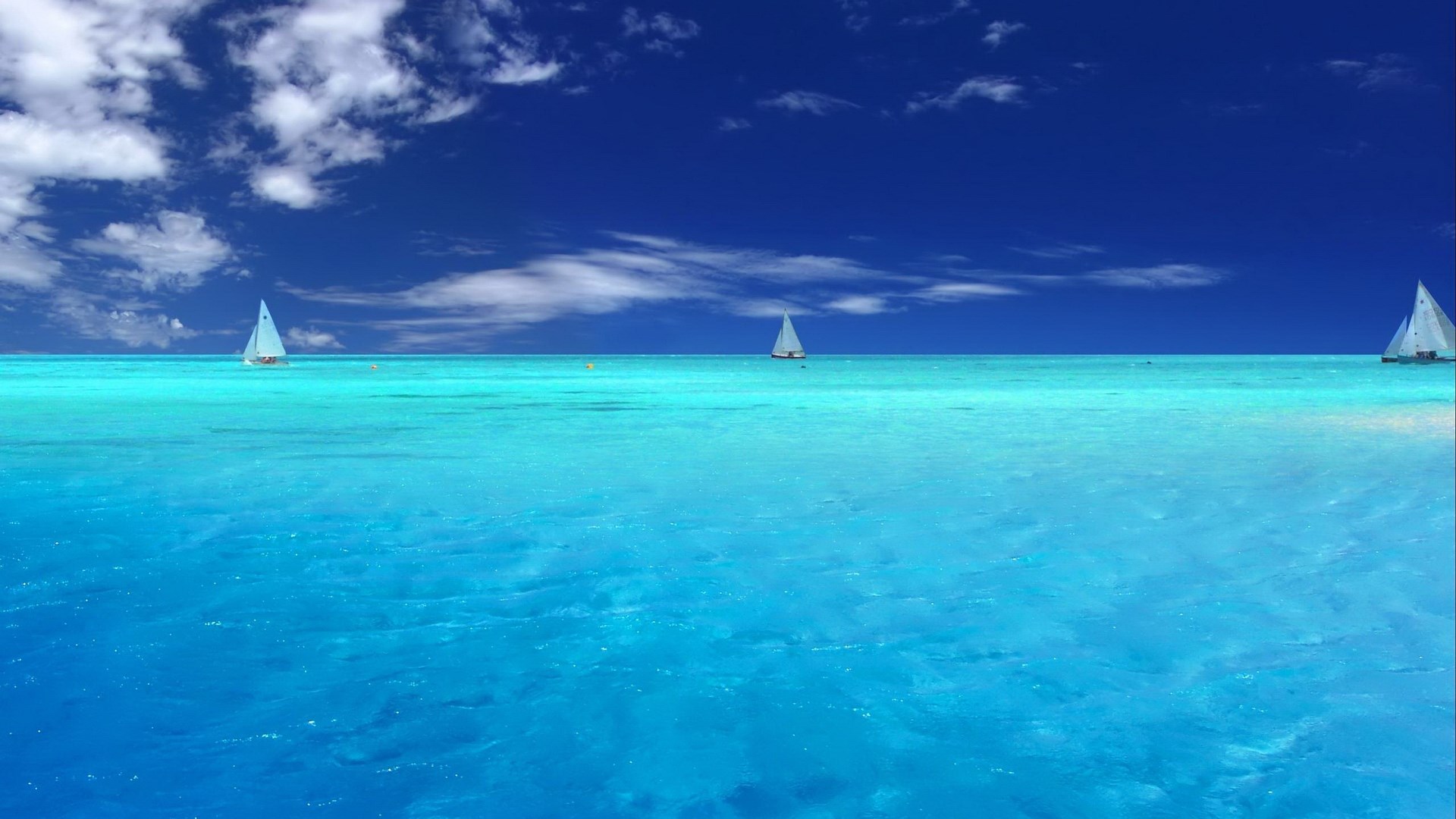 Sailboats on a turquoise ocean under a blue sky HD Wallpaper