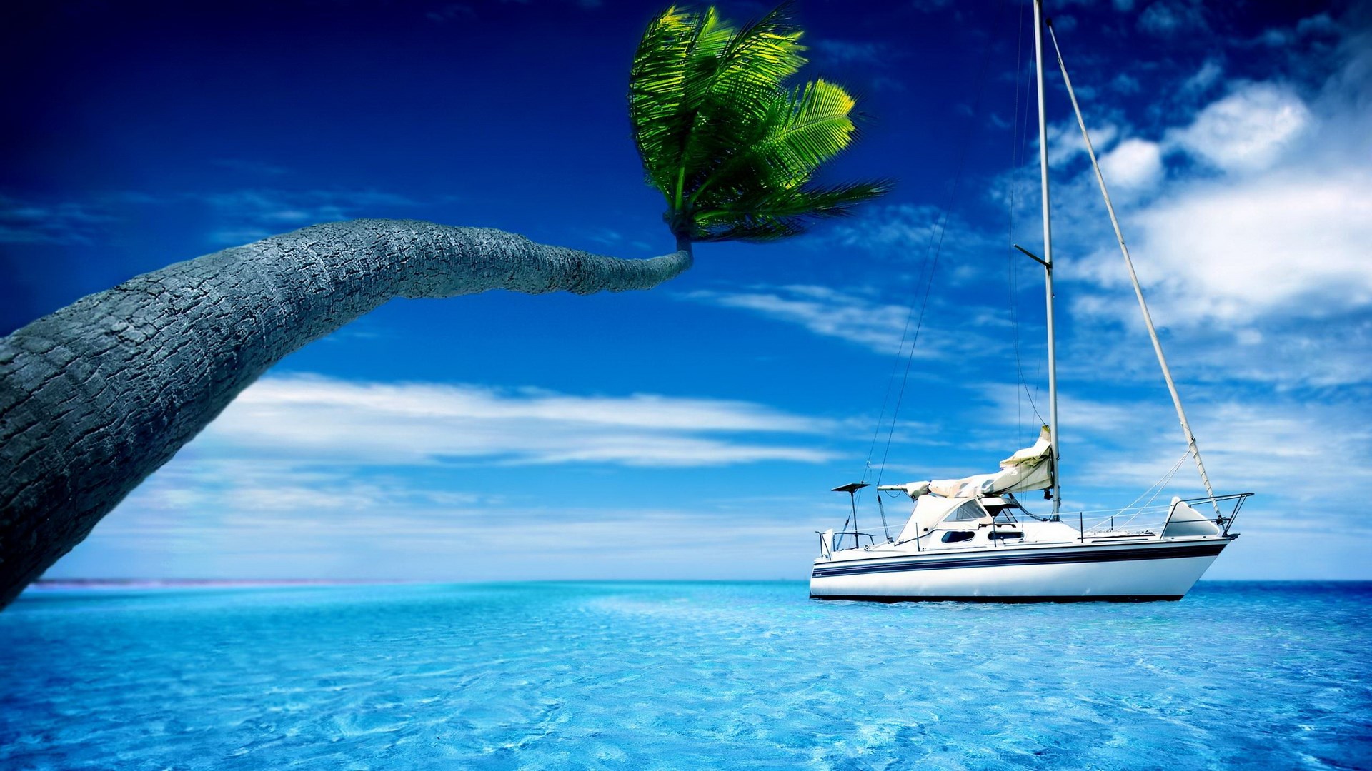 Palm tree leaning over turquoise water with sailboat HD Wallpaper