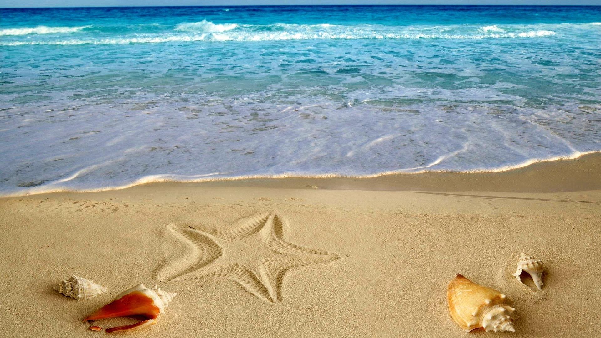 Starfish drawing and seashells on a sandy beach with ocean waves HD Wallpaper