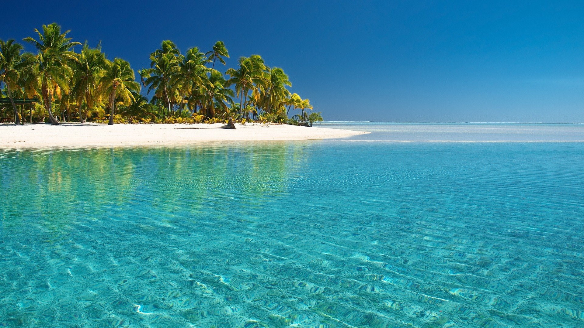 Tropical island with palm trees and clear blue water HD Wallpaper