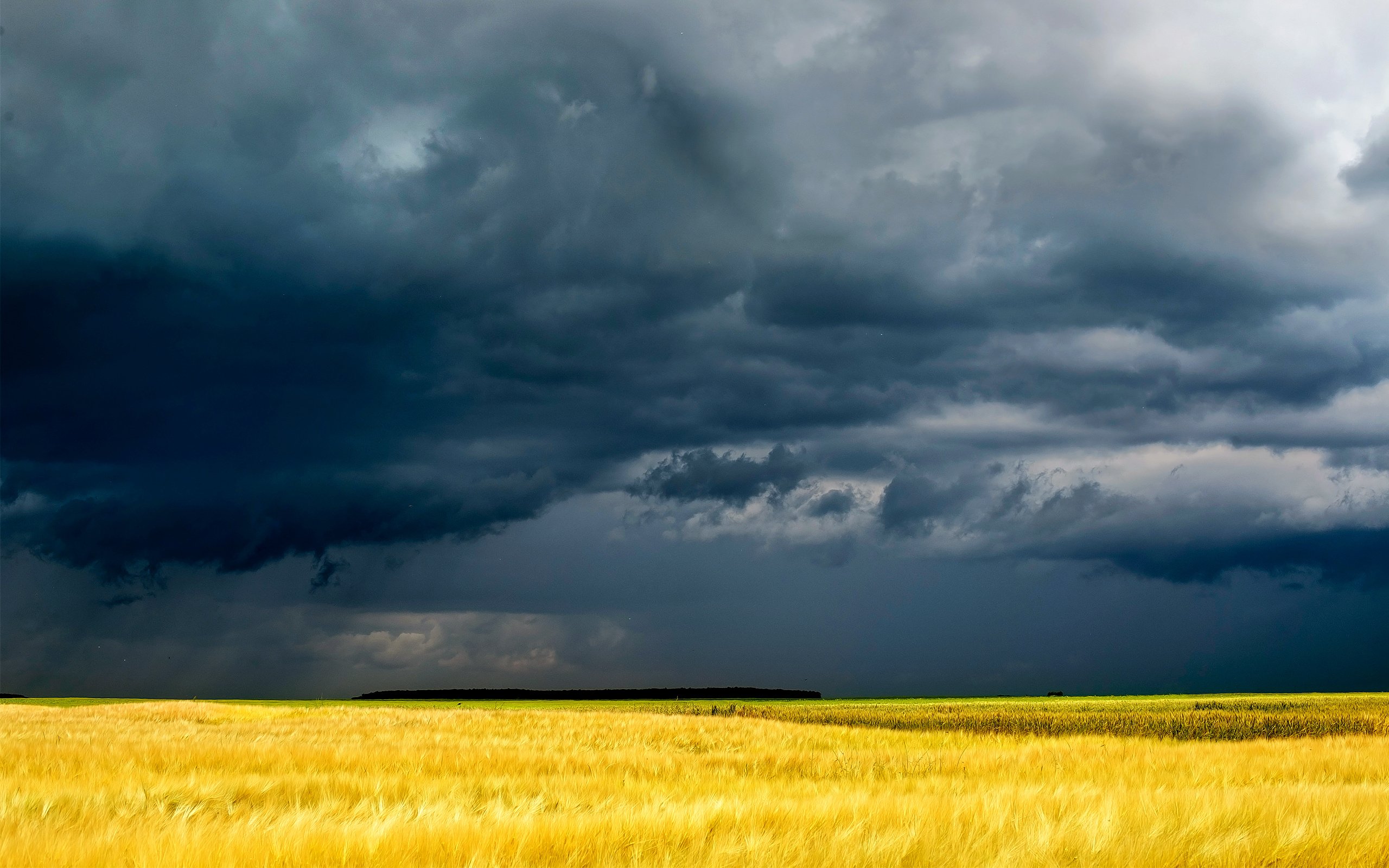Dark storm clouds over a golden field HD Wallpaper