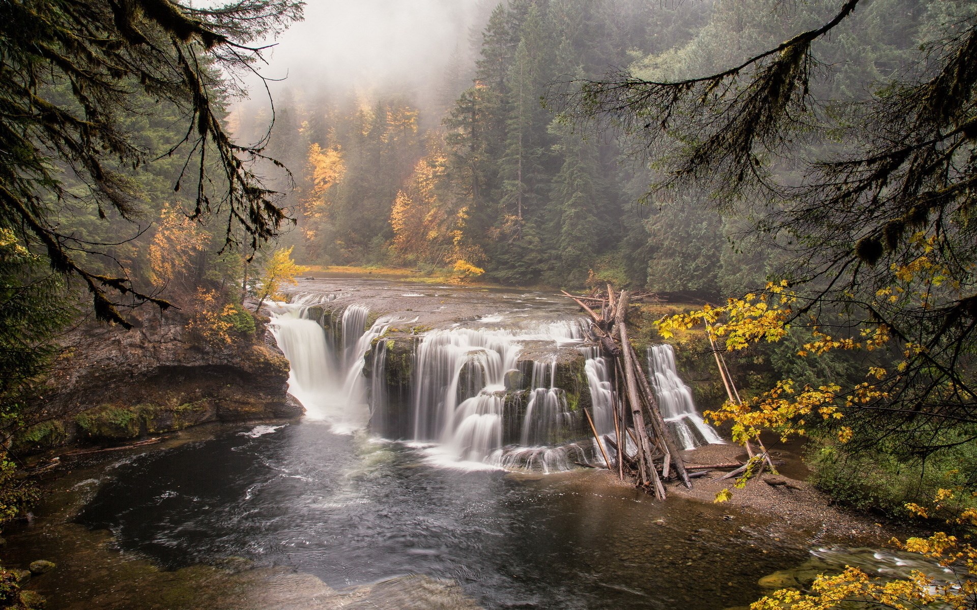 Waterfall in a misty forest during autumn HD Wallpaper