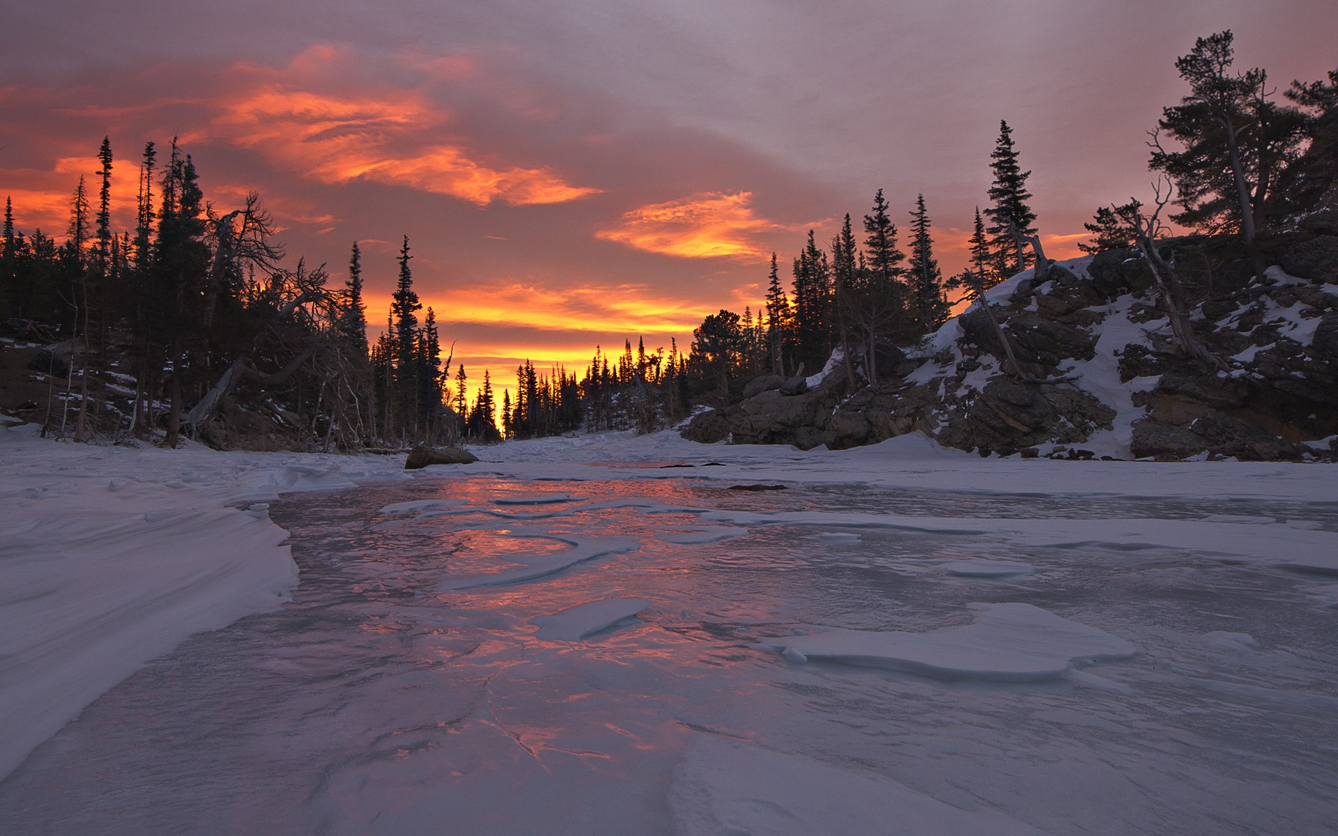 Frozen lake at sunset with pine trees HD Wallpaper