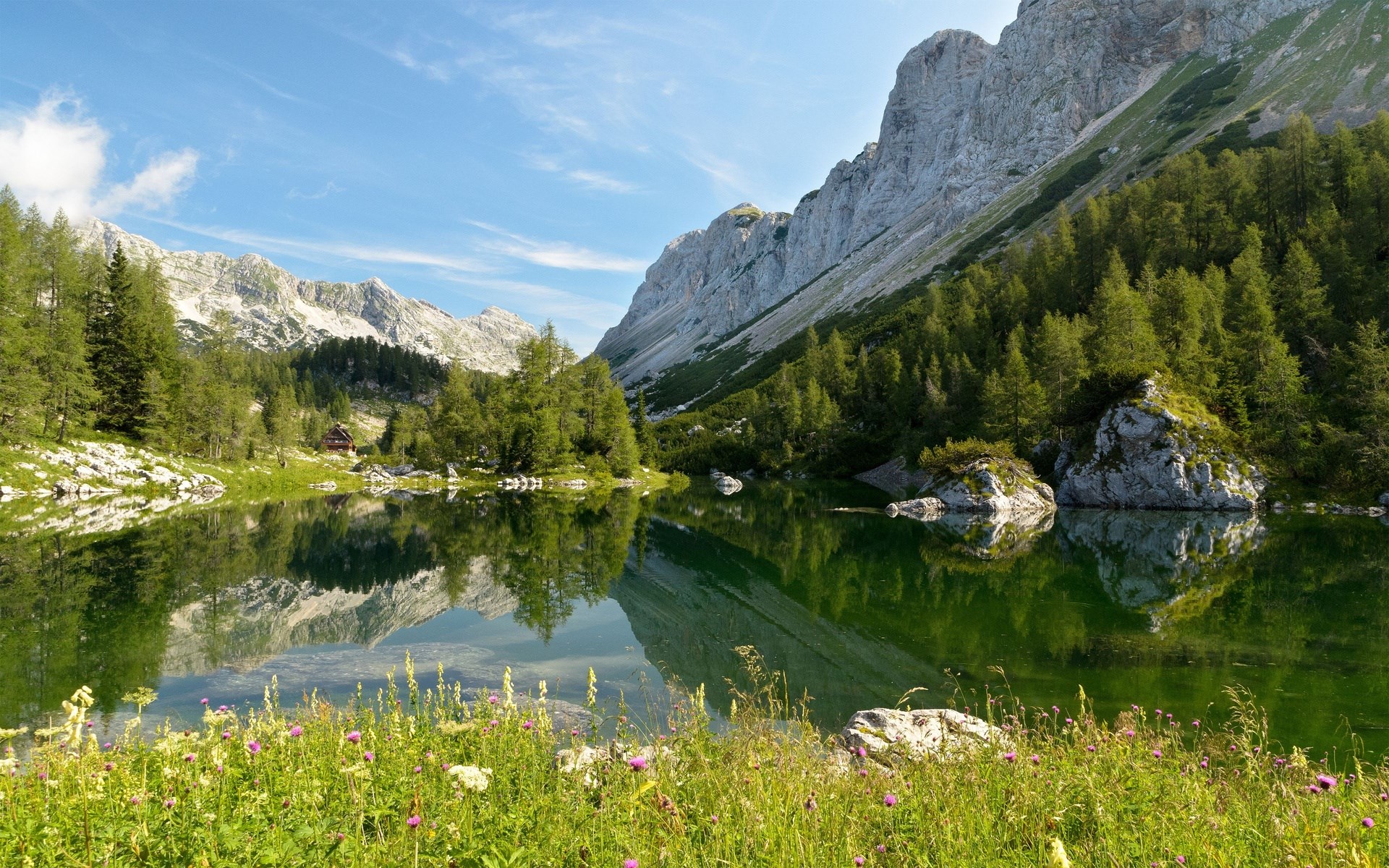 Mountain lake with reflection and wildflowers HD Wallpaper