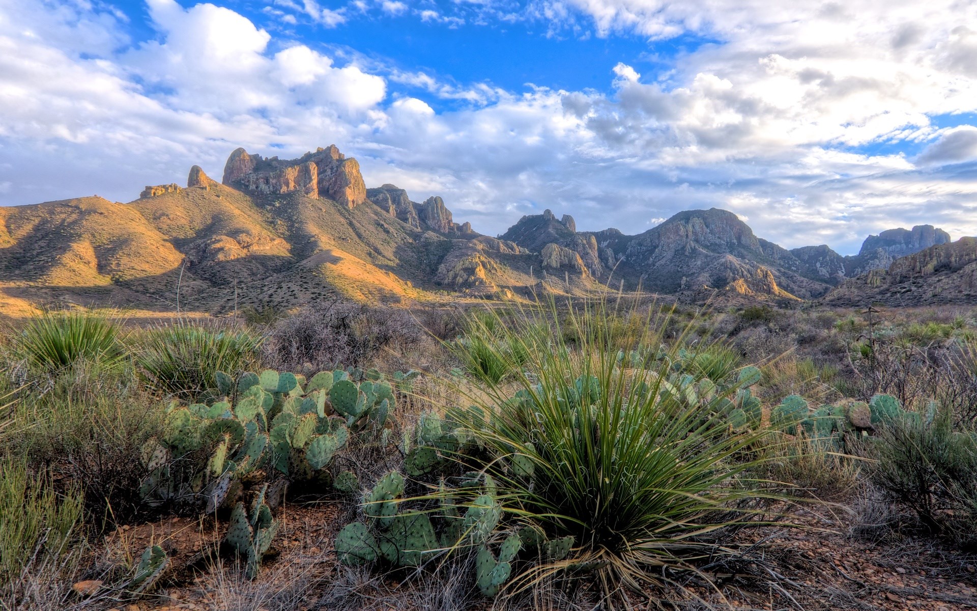 Desert mountains with cacti and blue sky HD Wallpaper