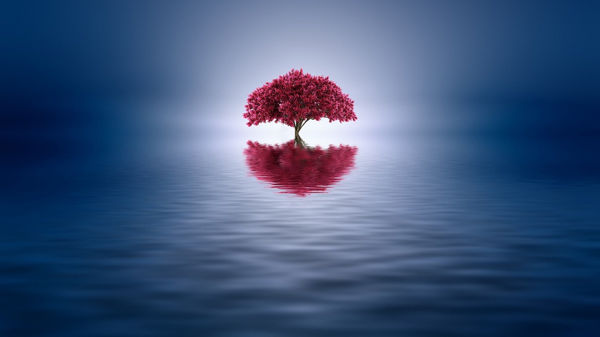 Minimalist tree reflection on water HD Wallpaper